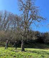 Seitingen-1
